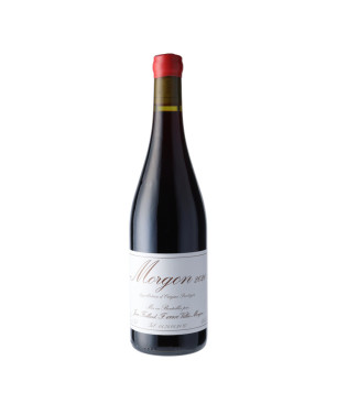  Morgon "Classique" 2020 - Domaine Jean Foillard - Vin rouge du Beaujolais