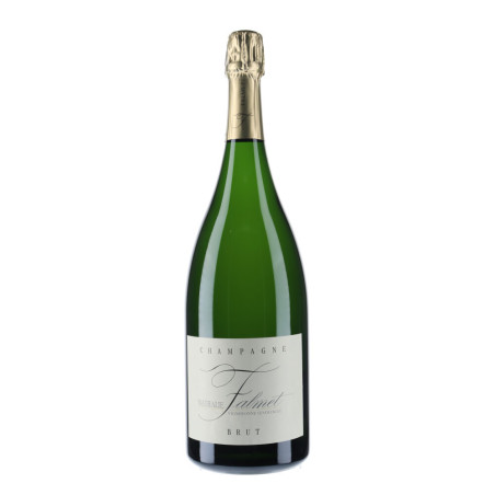 Domaine Nathalie Falmet - Champagne Brut - Champagnes Brut |Vin-malin 
