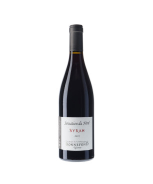 Syrah 2019 Rouge - Domaine P&C Bonnefond 