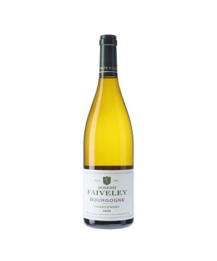 Domaine Faiveley - Bourgogne Chardonnay 2020 - vins blancs de Bourgogne