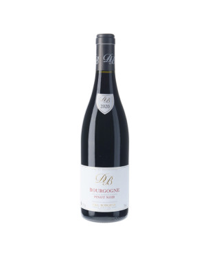 Domaine Borgeot - Bourgogne Pinot Noir 2020 - vins rouges de Bourgogne