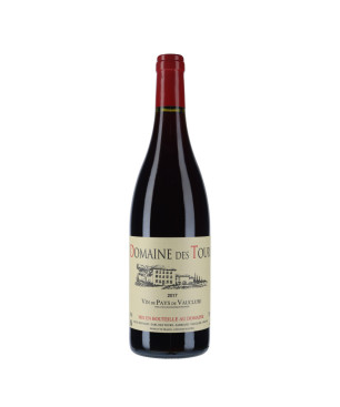 Vin de Pays de Vaucluse 2017 Domaine Des Tours par Emmanuel Reynaud