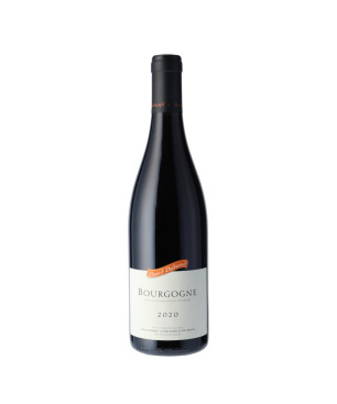 Domaine David Duband - Bourgogne Pinot Noir 2020 - vin rouge de Bourgogne