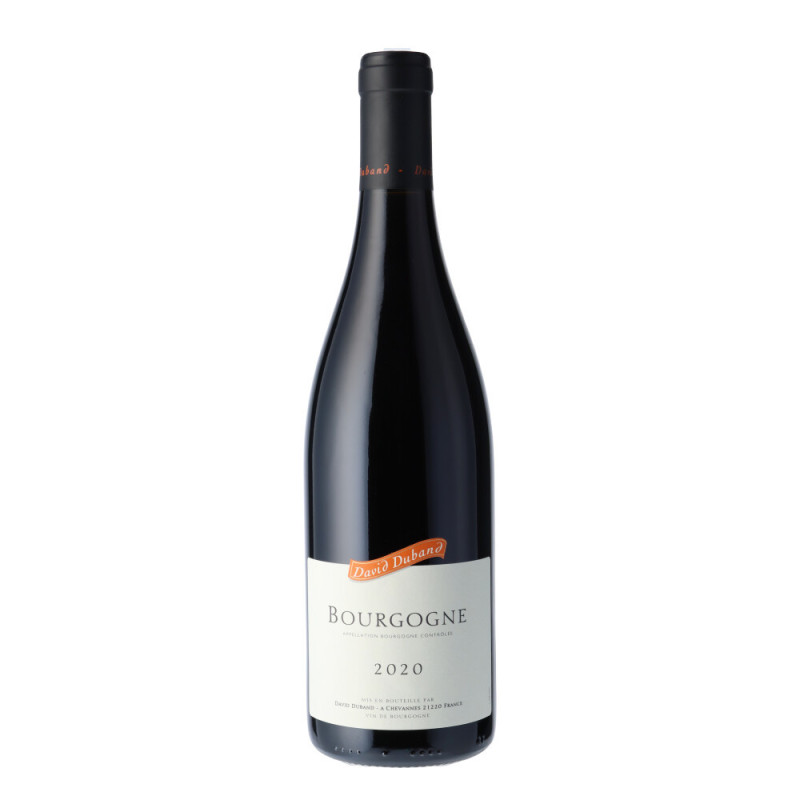 Domaine David Duband - Bourgogne Pinot Noir 2020 - vin rouge de Bourgogne