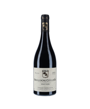 Fabien Coche - Bourgogne Côte d'or Pinot Noir 2020 - vins de Bourgogne