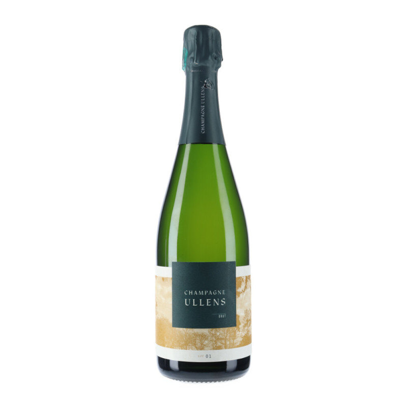 Champagne Ullens Brut N°1 - Champagne Domaine de Marzilly | Vin-malin 