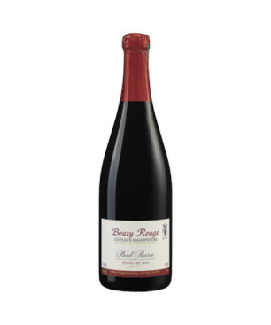 Paul Bara Coteaux Champenois Bouzy rouge 2012