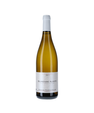 Domaine Céline Perrin - Bourgogne Aligoté 2021- vin blanc de Bourgogne