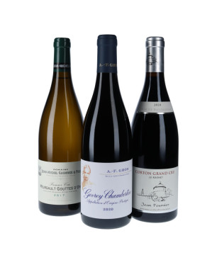 Coffret vins de Bourgogne "Les trésors de Bourgogne" 3 bouteilles