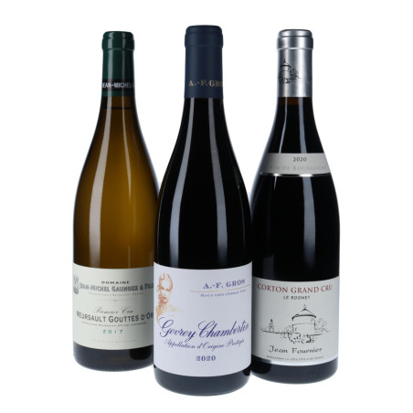 Coffret vins de Bourgogne "Les trésors de Bourgogne" 3 bouteilles