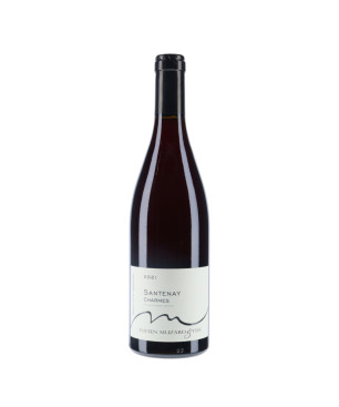 Santenay Les Charmes rouge 2021- Domaine Lucien Muzard - Vin Bourgogne