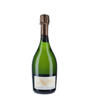 Champagne Franck Bonville Cuvée Les belles Voyes 2014 | Vin-malin.fr 