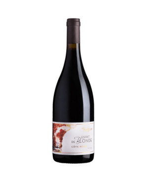 Côte Rôtie "Esprit de Blonde" 2019 Domaine Pierre Gaillard - Vin Rhône