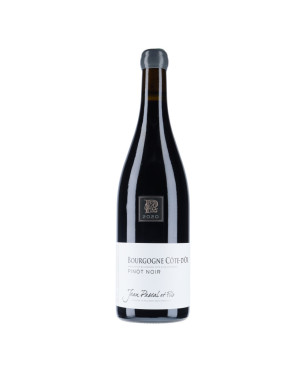 Domaine Jean Pascal - Bourgogne Côte d'Or Pinot Noir 2020 - vins rouges