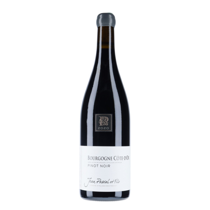 Domaine Jean Pascal Bourgogne Côte d'Or Pinot Noir 2020