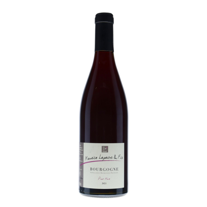Maurice Lapalus & Fils Bourgogne Pinot Noir 2021