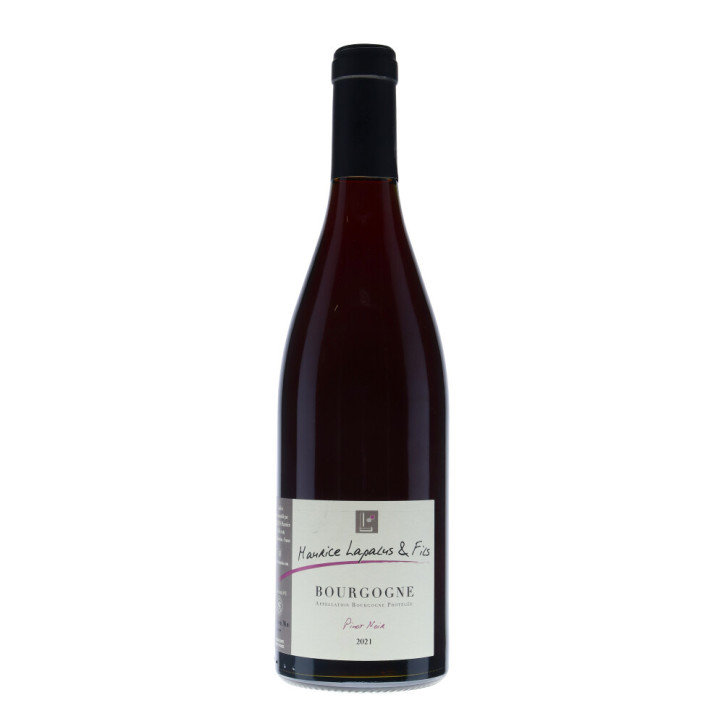 Maurice Lapalus & Fils Bourgogne Pinot Noir 2021 Maurice Lapalus & Fils Bourgogne Pinot Noir 2021