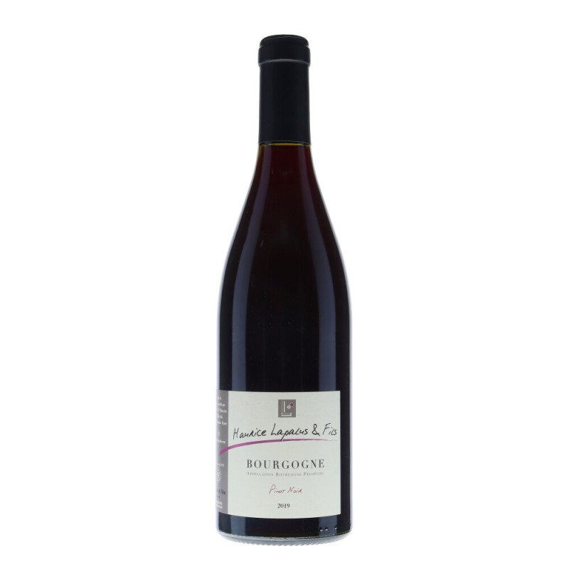Bourgogne Pinot noir 2019 - Domaine Maurice Lapalus & Fils