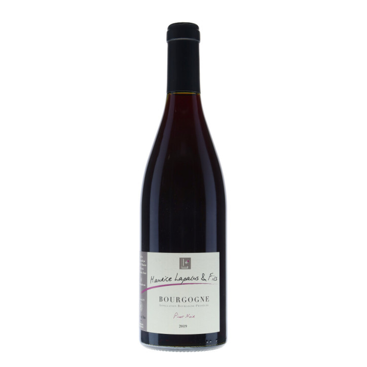 Maurice Lapalus & Fils Bourgogne Pinot Noir 2019
