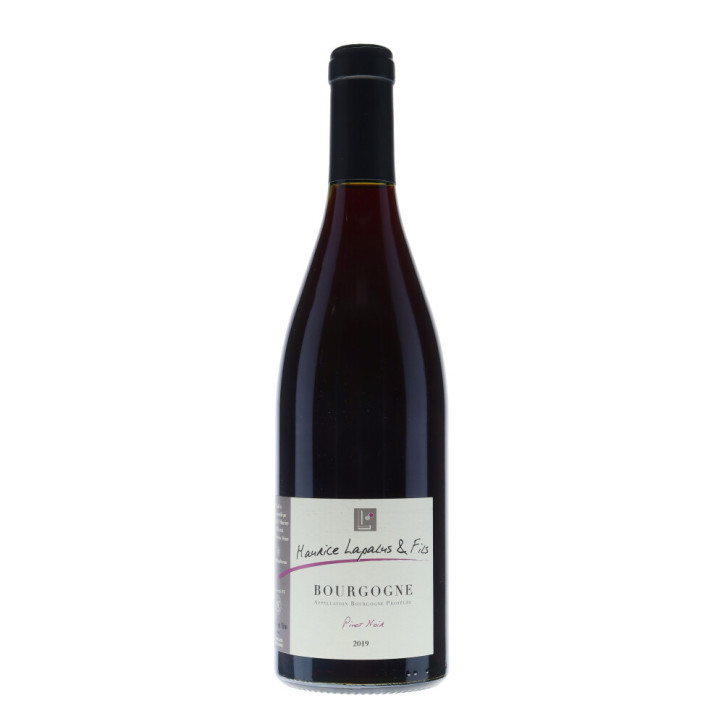 Maurice Lapalus & Fils Bourgogne Pinot Noir 2019 Maurice Lapalus & Fils Bourgogne Pinot Noir 2019