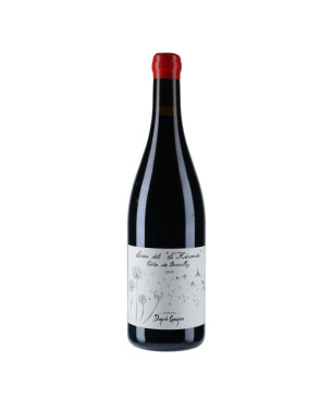 Domaine Dupré Goujon - Côte de Brouilly "L'Héronde" 2019 - vins rouges
