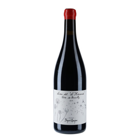 Domaine Dupré Goujon - Côte de Brouilly "L'Héronde" 2019 - vins rouges