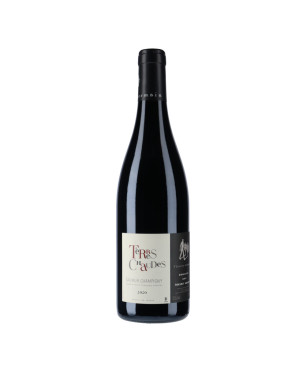 Domaine des Roches Neuves - Saumur Champigny Terres Chaudes 2020 - vin