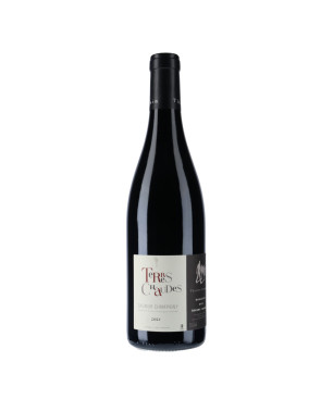 Domaine des Roches Neuves - Saumur Champigny Terres Chaudes 2021 - vin