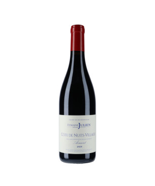 Domaine Gérard Julien - Côtes de Nuits Villages Armand 2020 - vin rouge