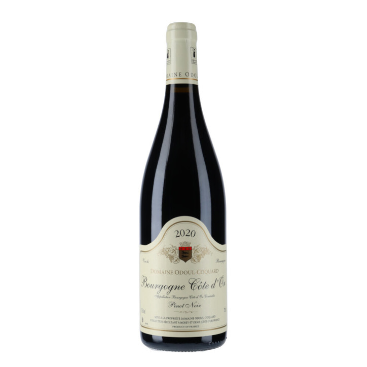 Domaine Odoul Coquard Bourgogne Côte d'Or Pinot Noir 2020