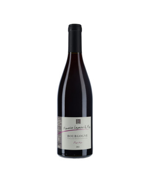 Domaine Maurice Lapalus Bourgogne Pinot noir - Vin Bourgogne |Vin Malin