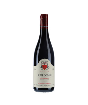 Geantet-Pansiot Bourgogne Pinot Noir Les Bons Bâtons 2021|Vin Malin