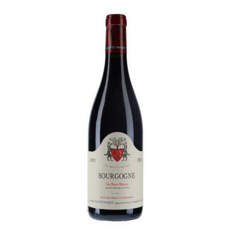 Geantet-Pansiot Bourgogne Pinot Noir Les Bons Bâtons 2021|Vin Malin