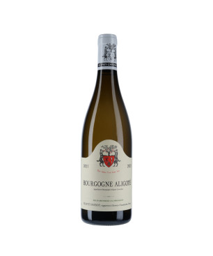 Domaine Geantet-Pansiot Bourgogne Aligoté 2021- vin Bourgogne|Vin Malin