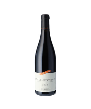 David Duband Côtes de Nuits Village 2020 - Vin bourgogne |Vin Malin.fr