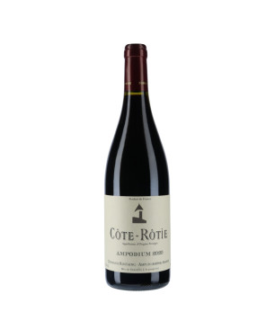 Domaine Rostaing Côte-Rôtie Ampodium 2020 - vins du Rhône|Vin Malin.fr