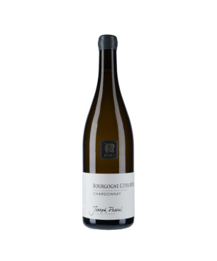 Domaine Joseph Pascal Bourgogne Côte-d'Or Chardonnay 2021|Vin Malin.fr