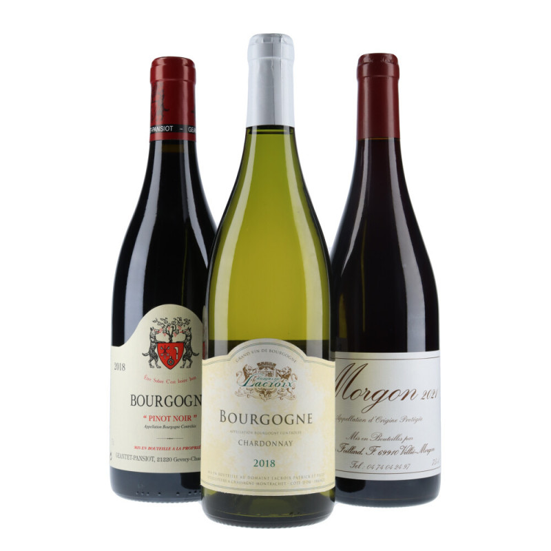 Coffret Plaisir d'offrir 3 bouteilles de vins cadeau réussi| Vin-malin