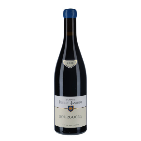 Dureuil-Janthial - Bourgogne rouge 2020 - grand vin rouge -vin-malin.fr