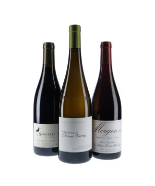 Coffret  spécial "Barbecue party summer" 3 bouteilles vin | Vin Malin