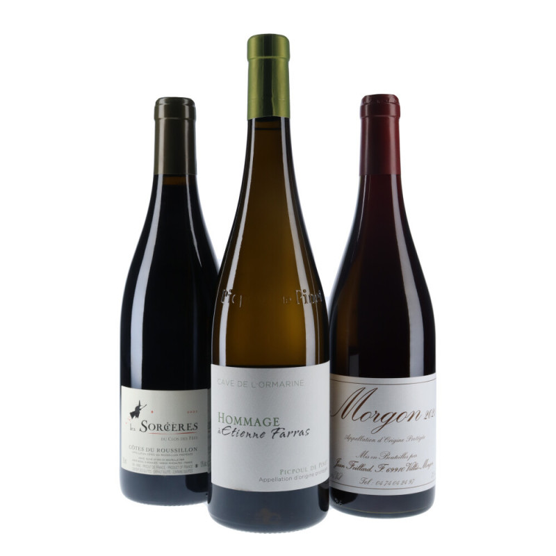 Coffret  spécial "Barbecue party summer" 3 bouteilles vin | Vin Malin