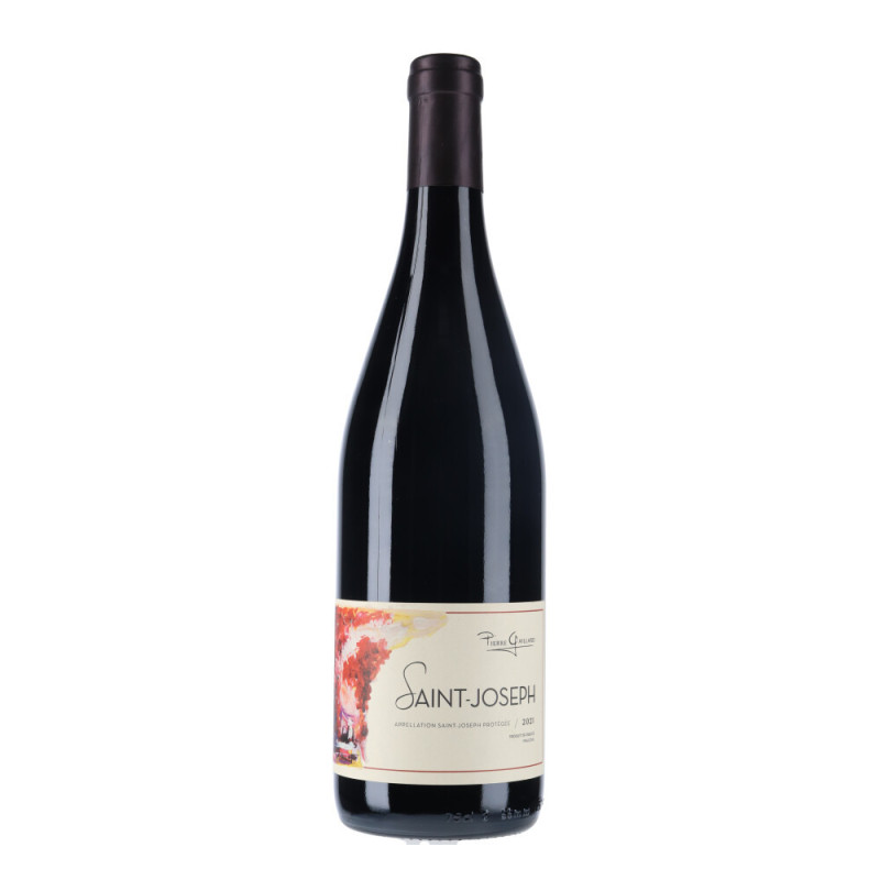 Domaine Pierre Gaillard - Saint-Joseph Rouge 2021 - Rhône - vin-malin