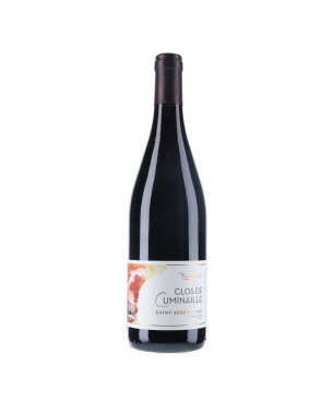 Pierre Gaillard - Saint-Joseph Clos de Cuminaille 2021 - vins du Rhône