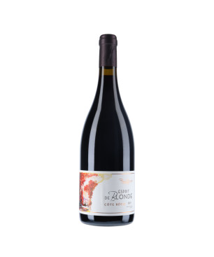 Domaine Pierre Gaillard - Côte Rôtie Esprit de Blonde 2021 - vin-malin