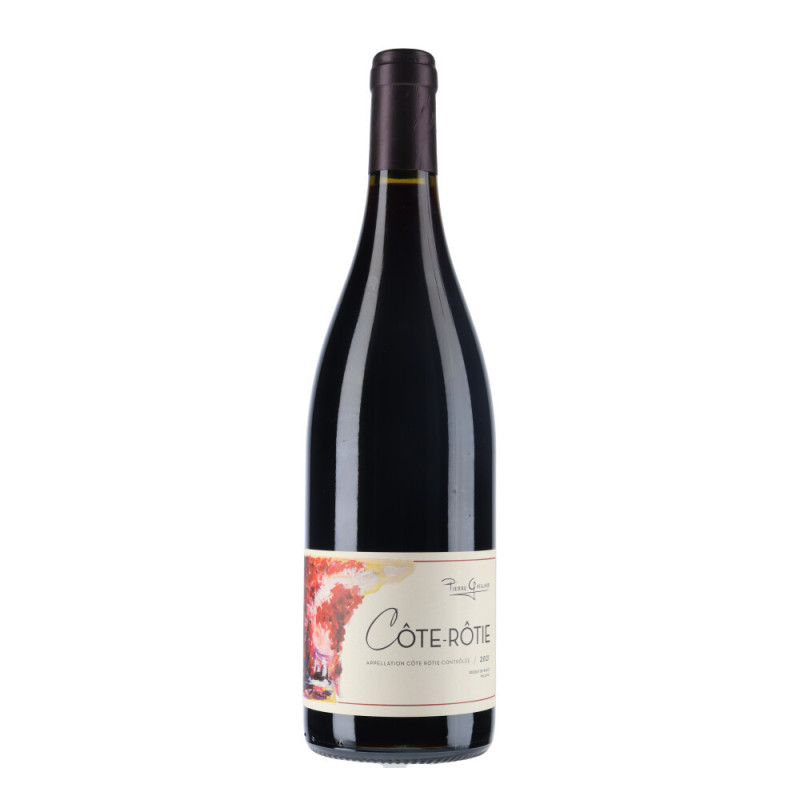 Domaine Pierre Gaillard - Côte Rôtie 2021 - vin du Rhône - vin-malin.fr