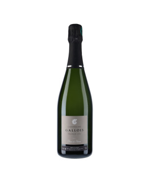 Champagne Blanc de Blancs Premier Cru - Serge Gallois | Vin-malin.fr 