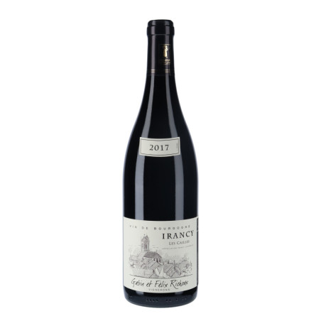 Domaine Gabin et Félix Richoux - Irancy Les Cailles 2017 vin-malin.fr