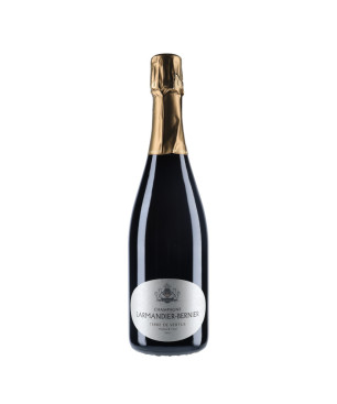 Champagne Larmandier-Bernier - 1er Cru Terre de Vertus 2016 - vin-malin