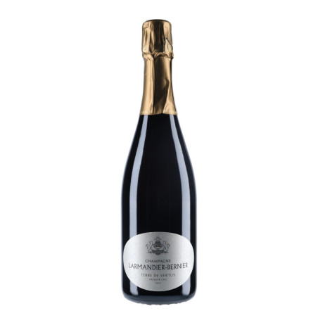 Champagne Larmandier-Bernier - 1er Cru Terre de Vertus 2016 - vin-malin