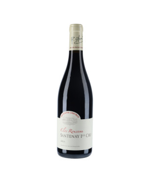 Domaine Chevrot - Santenay 1er Cru Clos Rousseau rouge 2021 - vin-malin